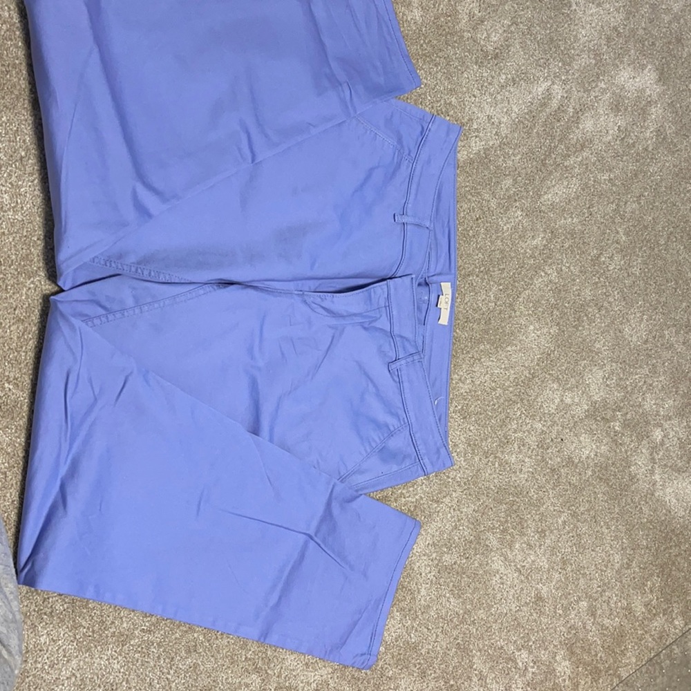 Loft pants.   Never worn. Nice stretch to them.